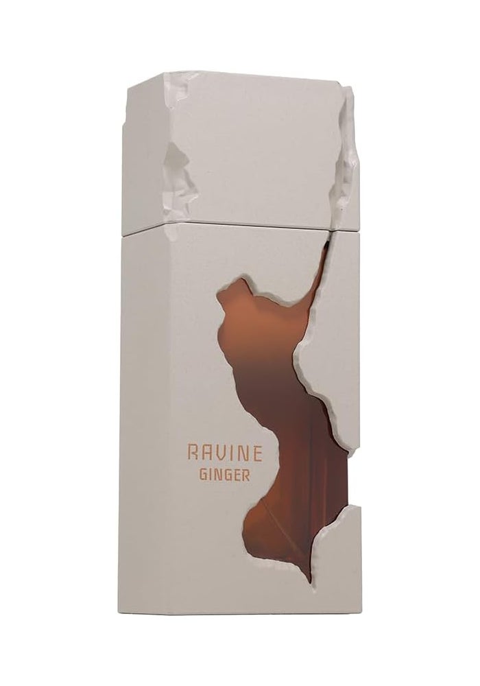 French Avenue Ravine Ginger Woody Extrait de Parfum for Unisex, 100ml - Image 2